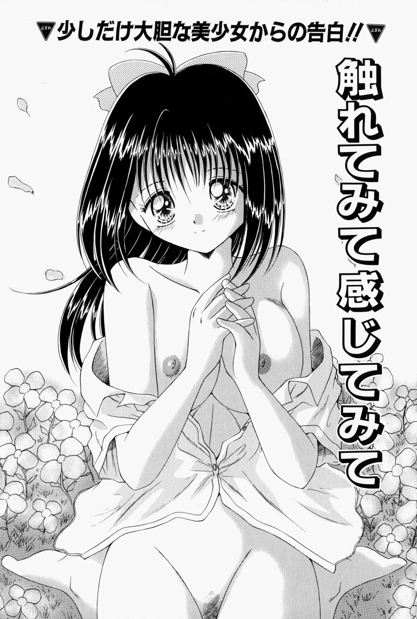 [鳴沢綾] 彼の秘密・私の秘密