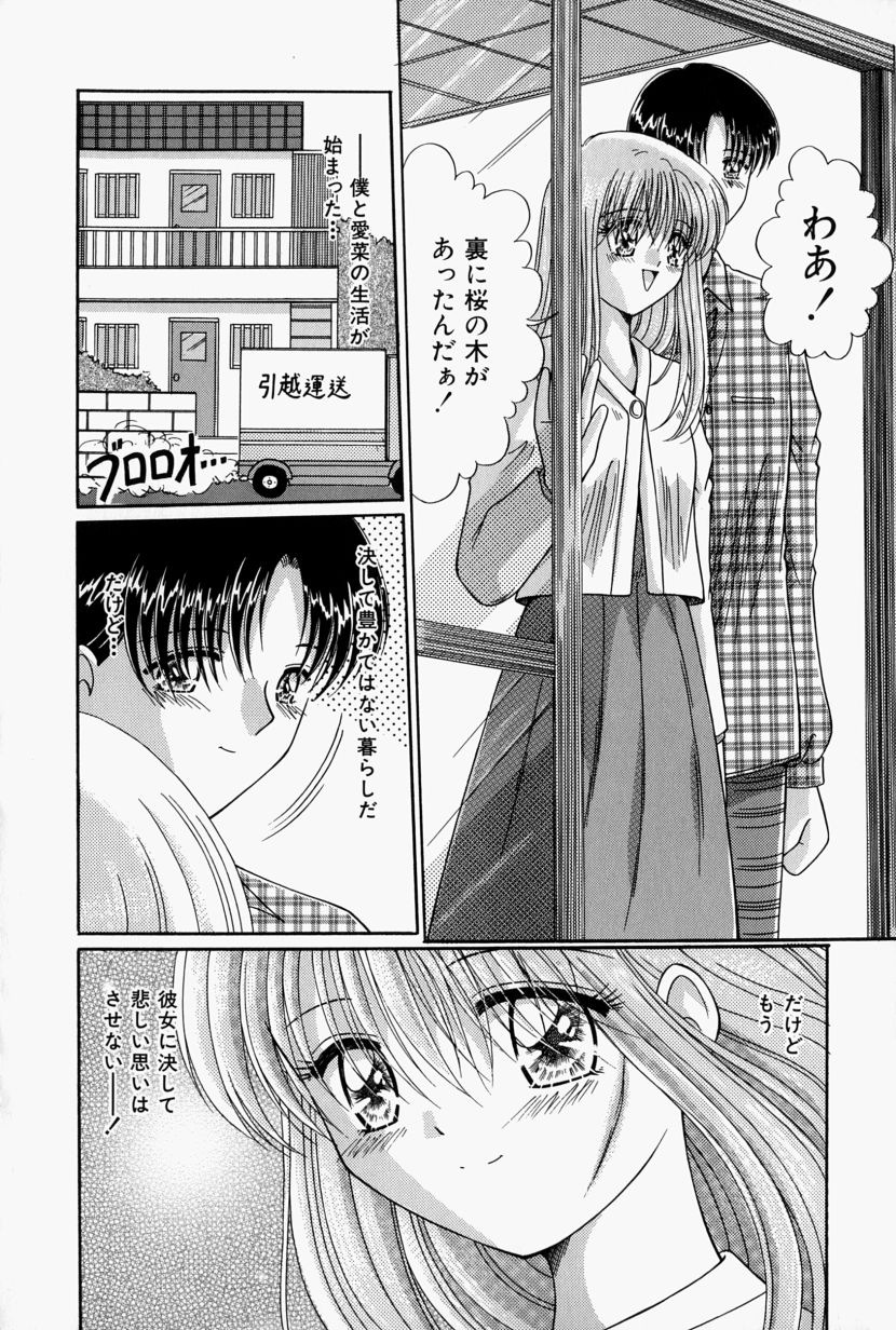 [鳴沢綾] 彼の秘密・私の秘密