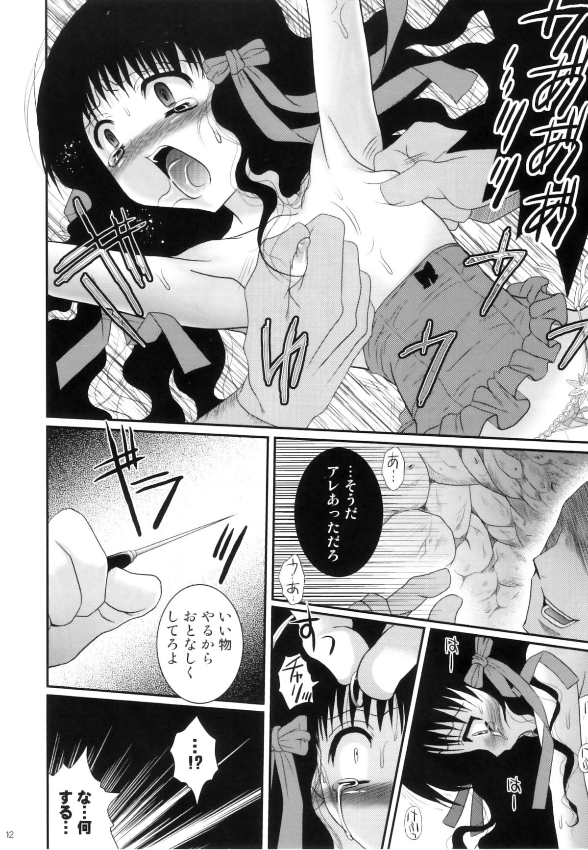 (C77) (ポイヨディメンション) 目黒霖雨 - 狂い鳥のさえずり [2009-12-31]