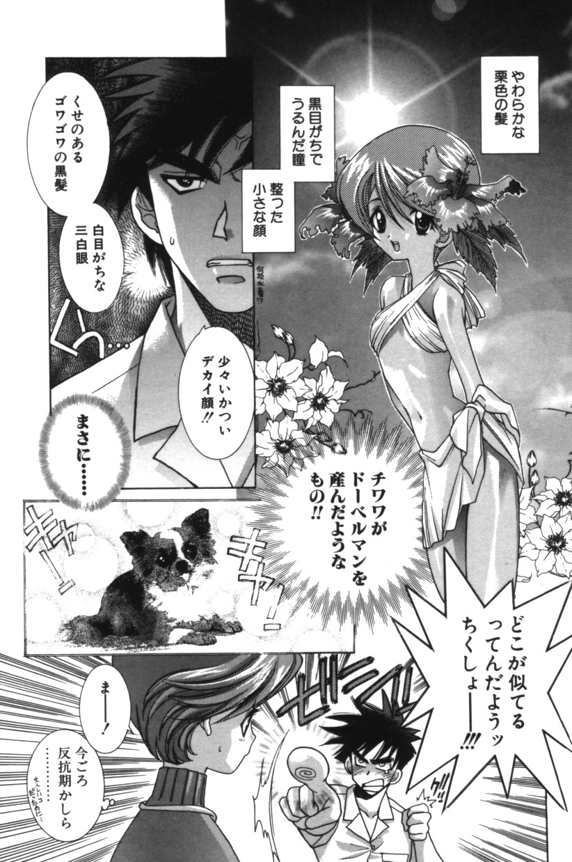 [結城みつる] ハピネス