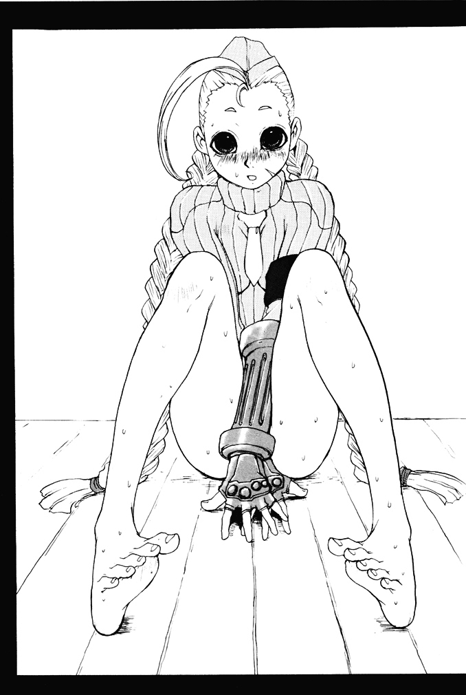 (Cレヴォ29) [爆乳フルネルソン (黒龍眼)] Stray Sheep (ストリートファイター)