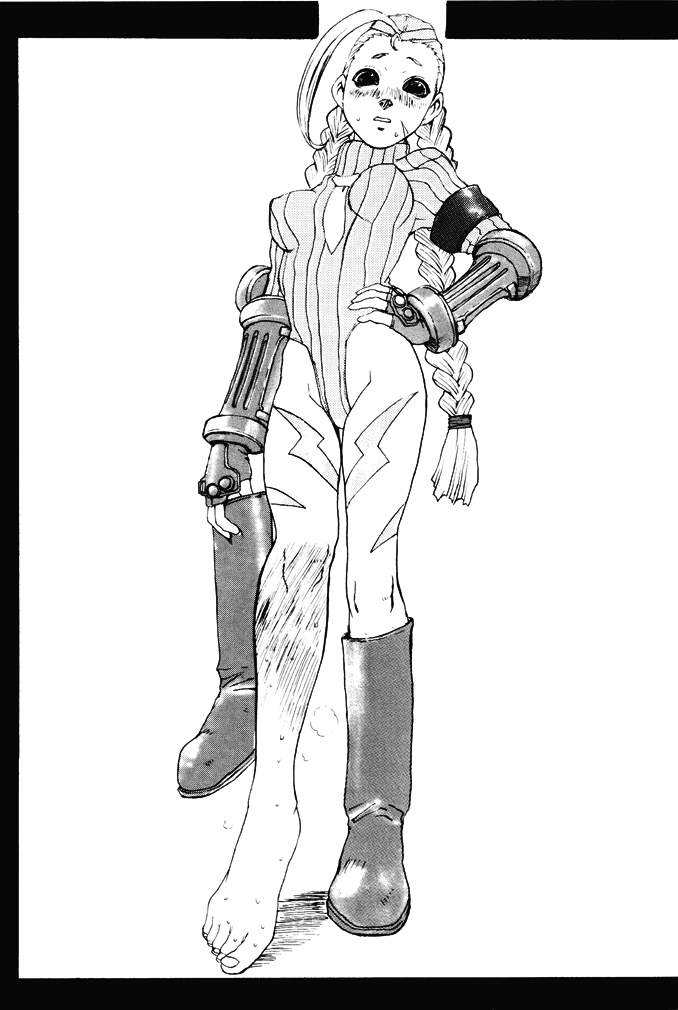 (Cレヴォ29) [爆乳フルネルソン (黒龍眼)] Stray Sheep (ストリートファイター)