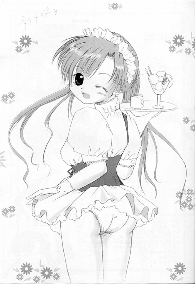 (C61) [琥珀亭, 翡翠亭 (秋澤和彦, 和泉つばす, 堺はまち)] ぷちめいど (シスタープリンセス)