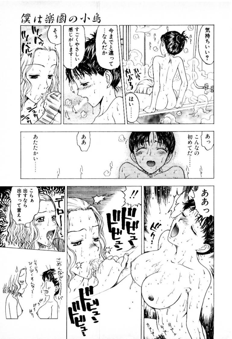 [小林少年] つぼみ