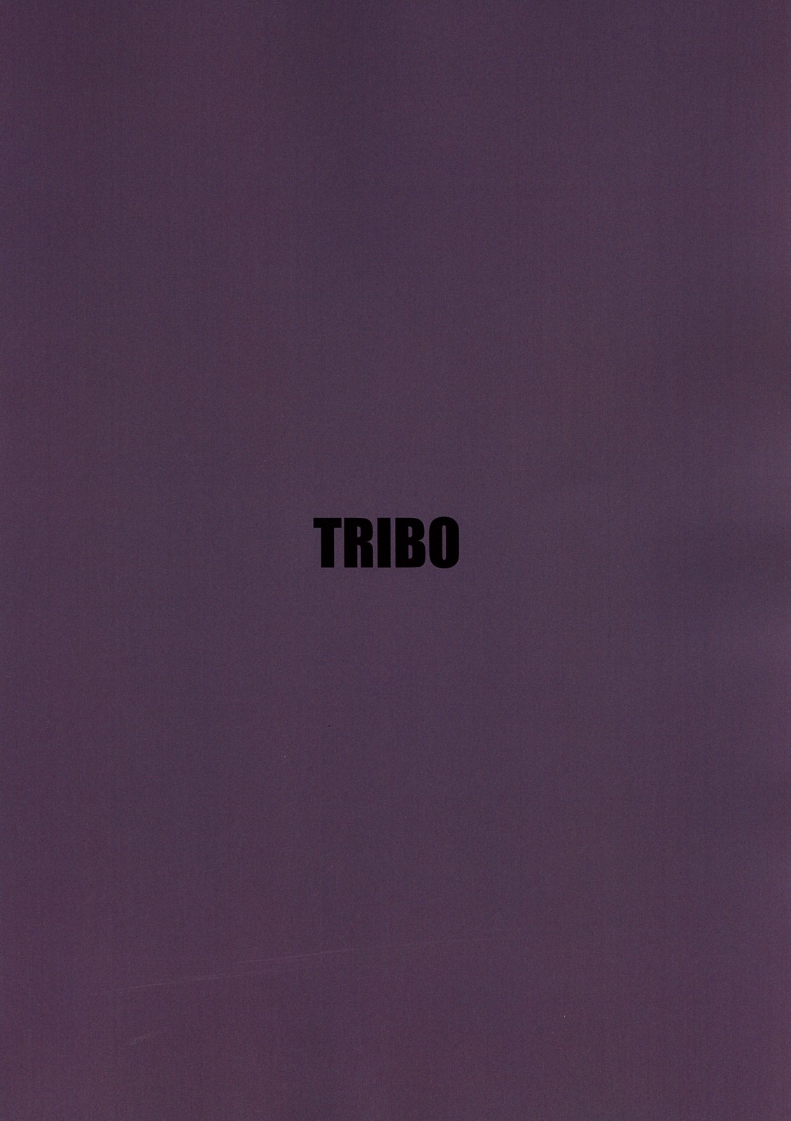 [TRIBO (野口摩擦)] MMNGR (アイシールド21)