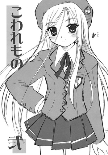 (C63) [おかりな (ぢょんたいらん)] COWAREMONO 弐