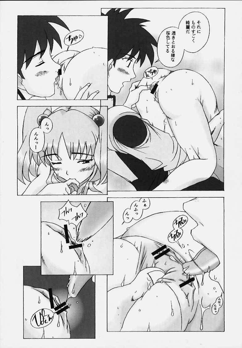 (C54) [琥珀亭 (堺はまち)] LAPIS LOVELY (機動戦艦ナデシコ)