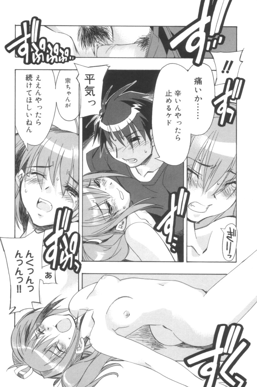 [ひよひよ] Free As A Bird