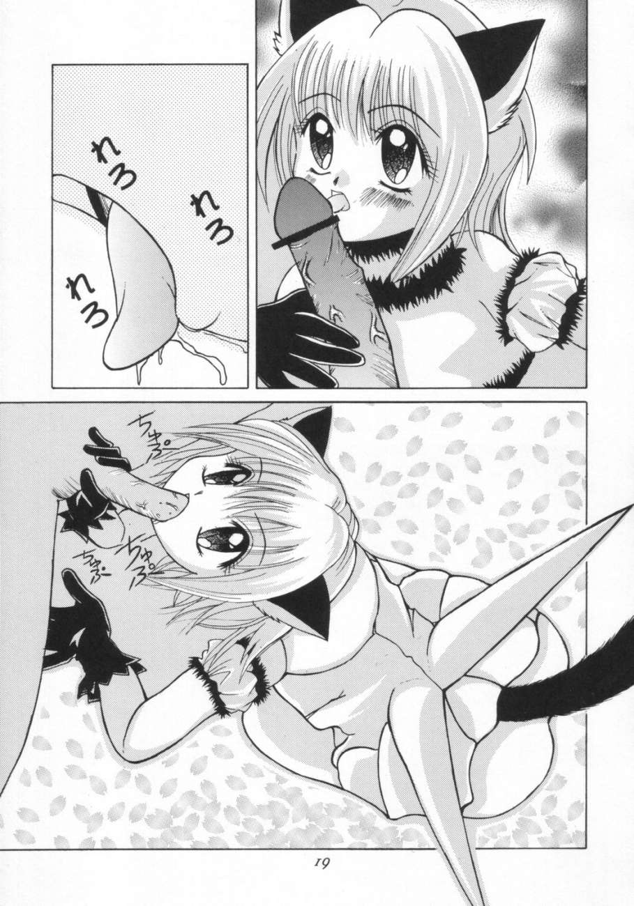 東京ニャンニャン