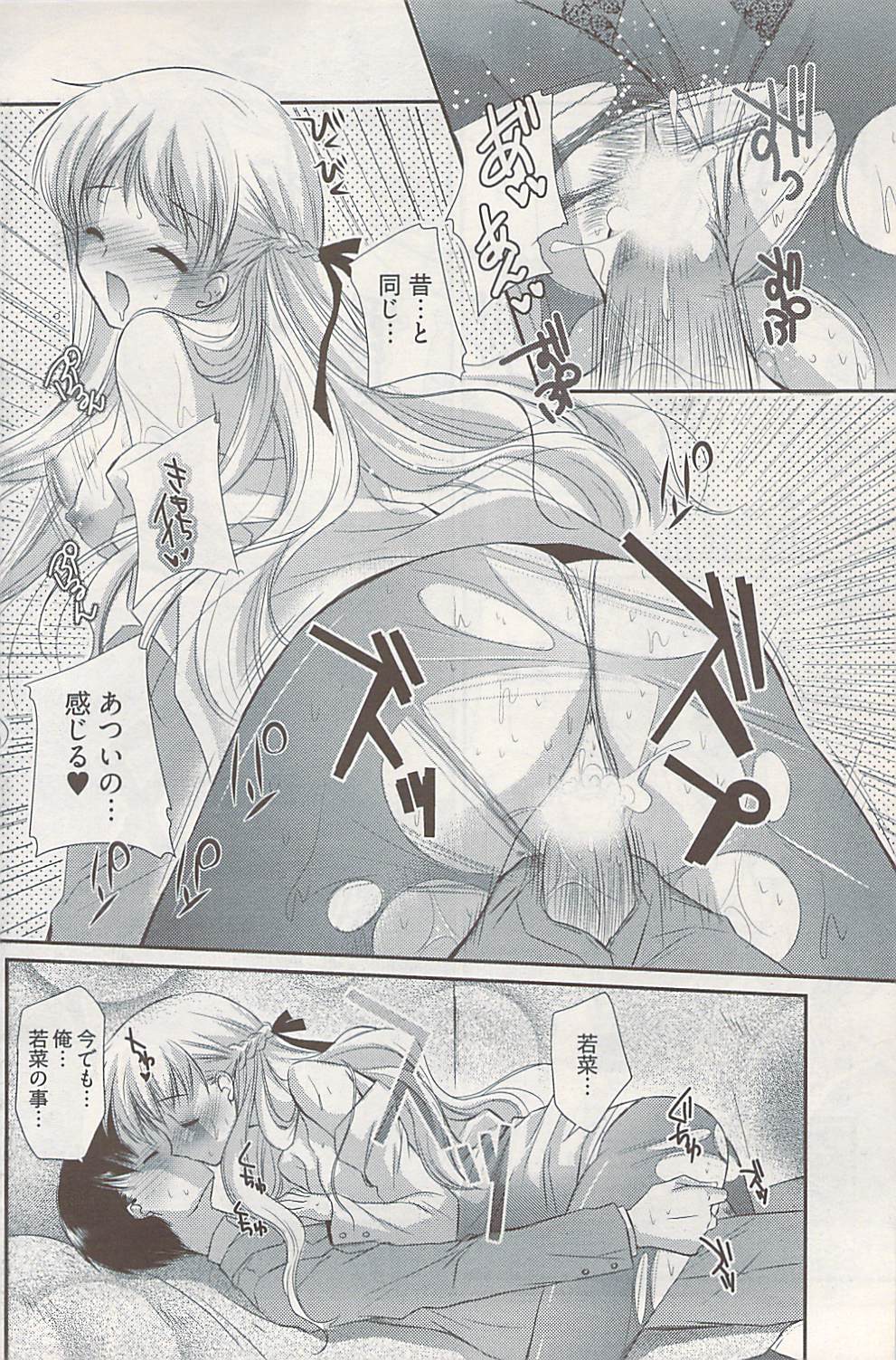 ヤングコミック 2009年1月号