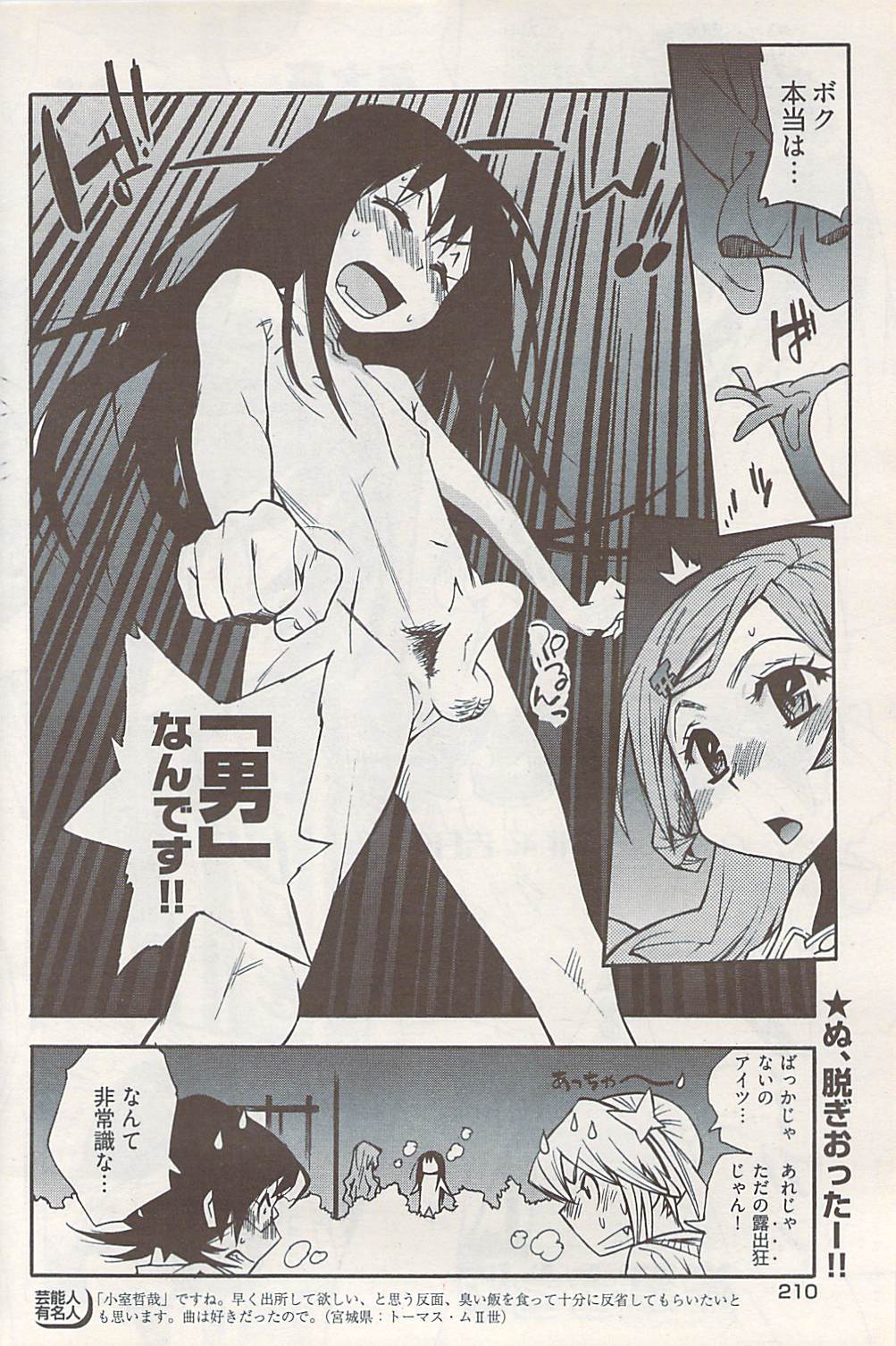 ヤングコミック 2009年1月号