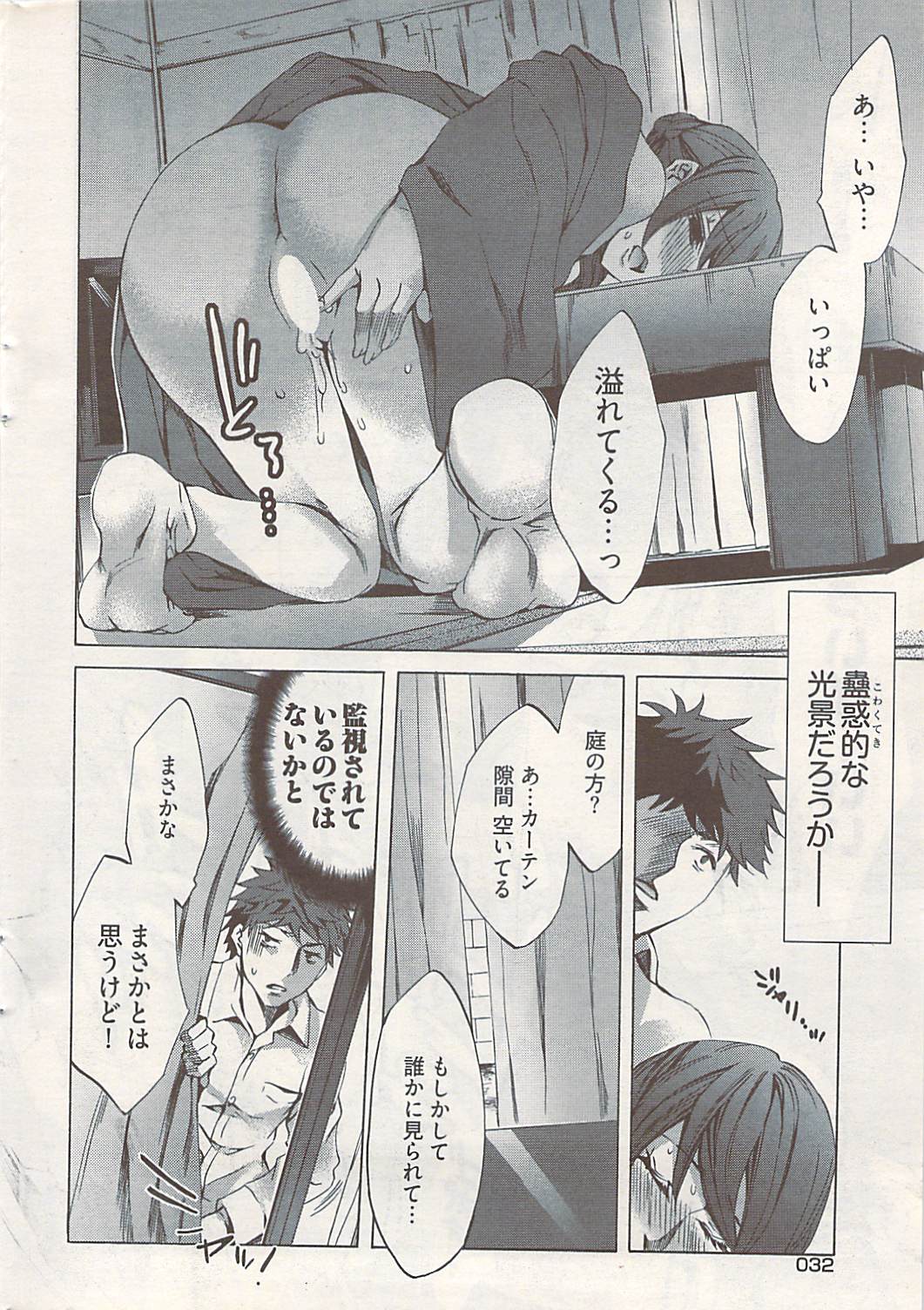 ヤングコミック 2009年1月号