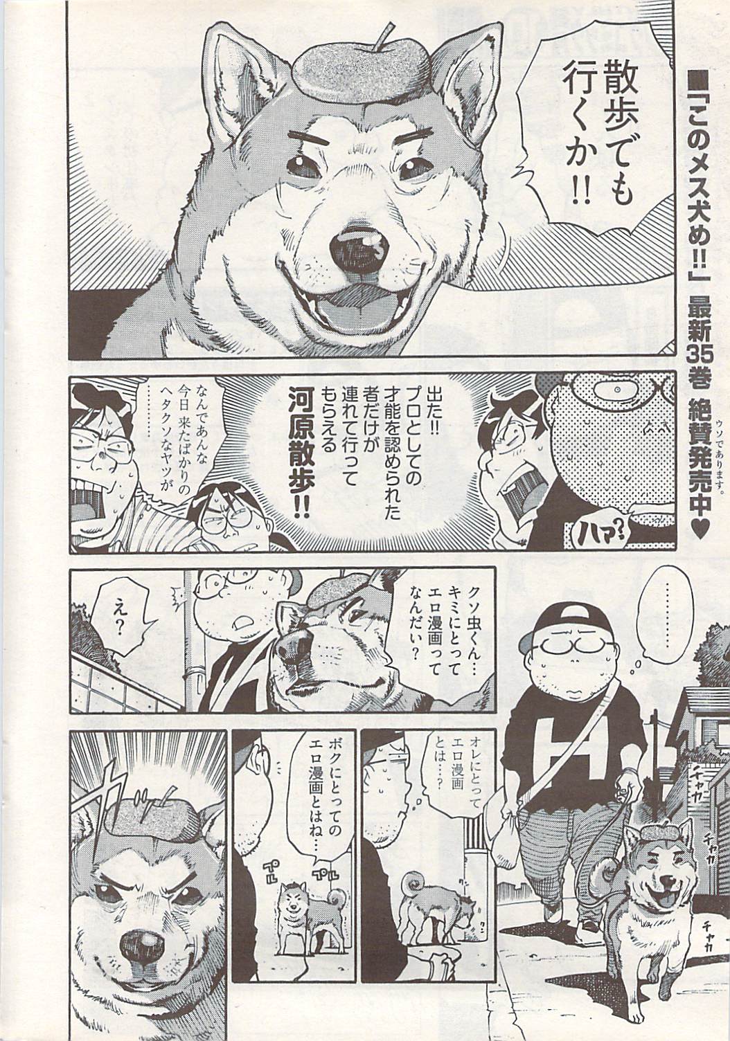 ヤングコミック 2009年1月号