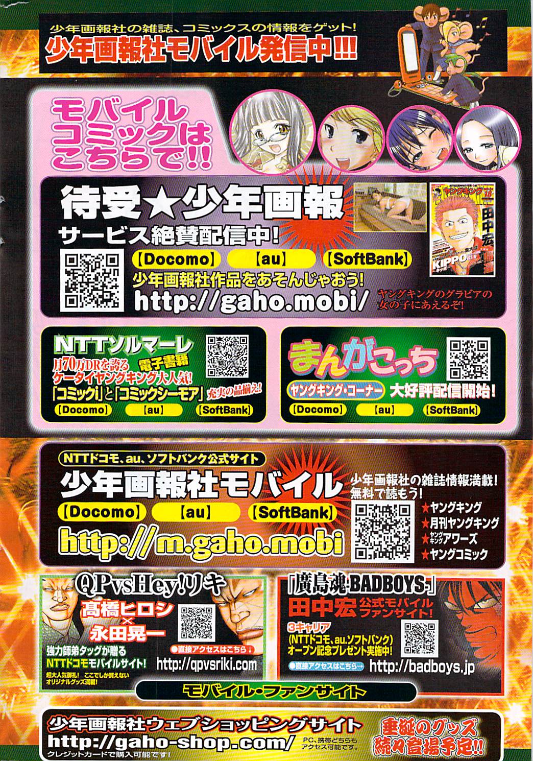 ヤングコミック 2009年1月号