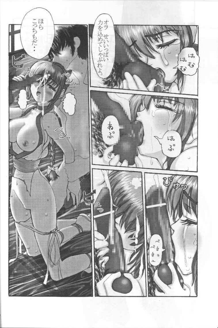 (C59) [RST Slave (海老名総一)] かすみハードラヴ (デッド・オア・アライブ)