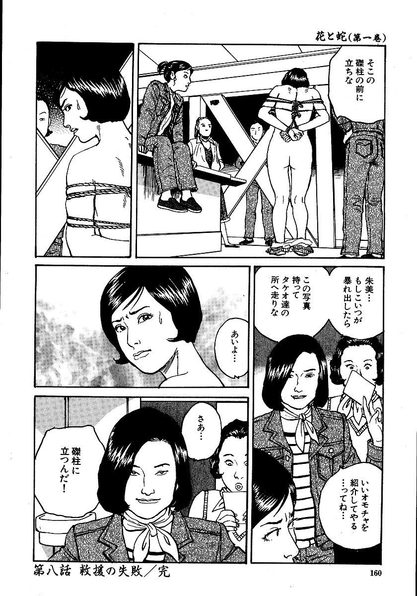 [長田要, 団鬼六] 花と蛇 第一集