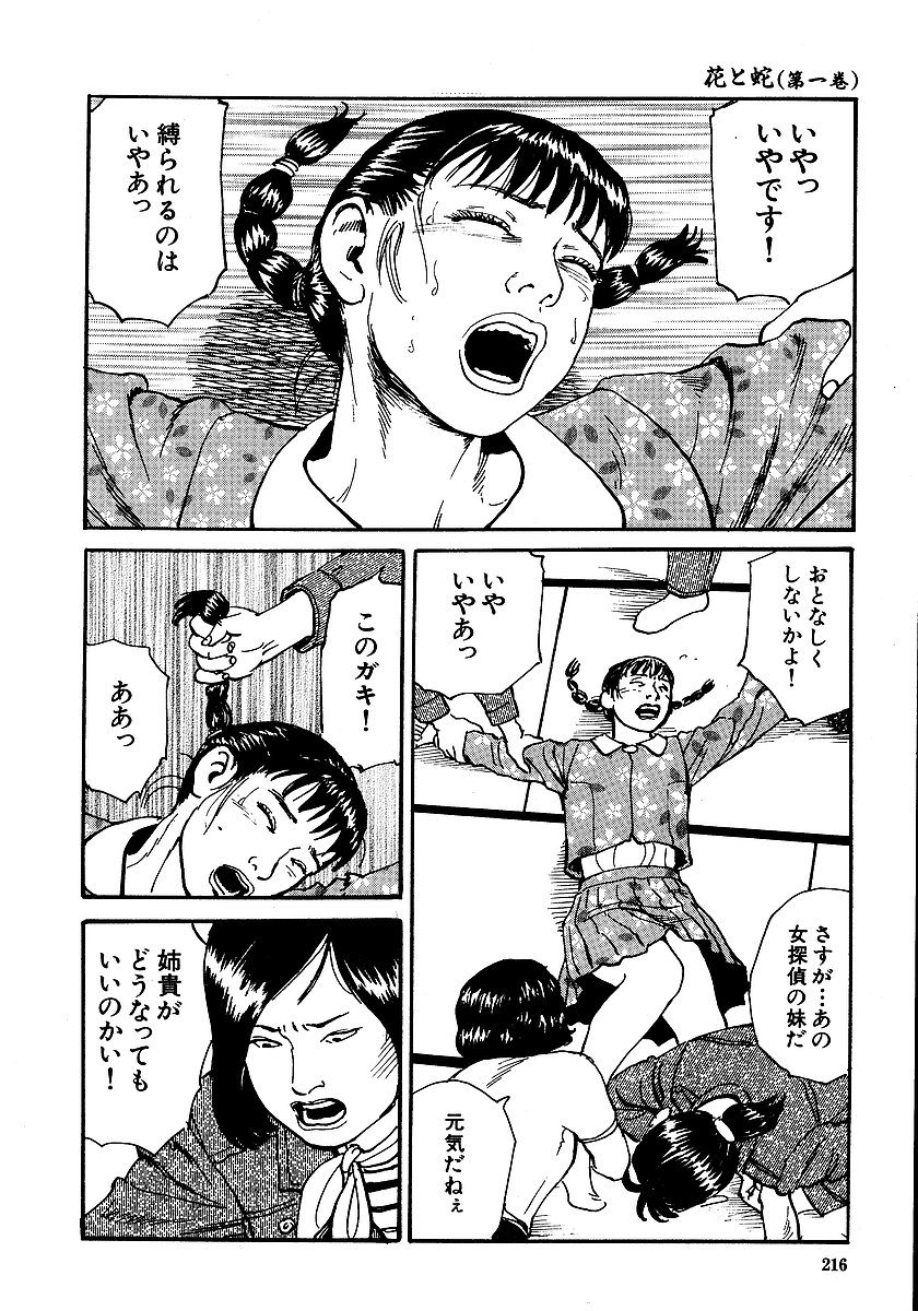 [長田要, 団鬼六] 花と蛇 第一集