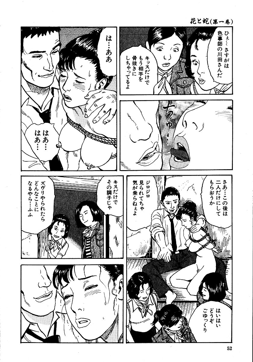 [長田要, 団鬼六] 花と蛇 第一集