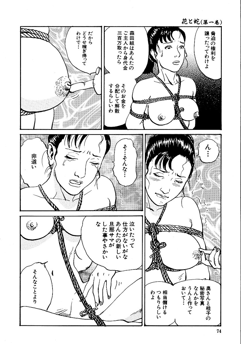 [長田要, 団鬼六] 花と蛇 第一集