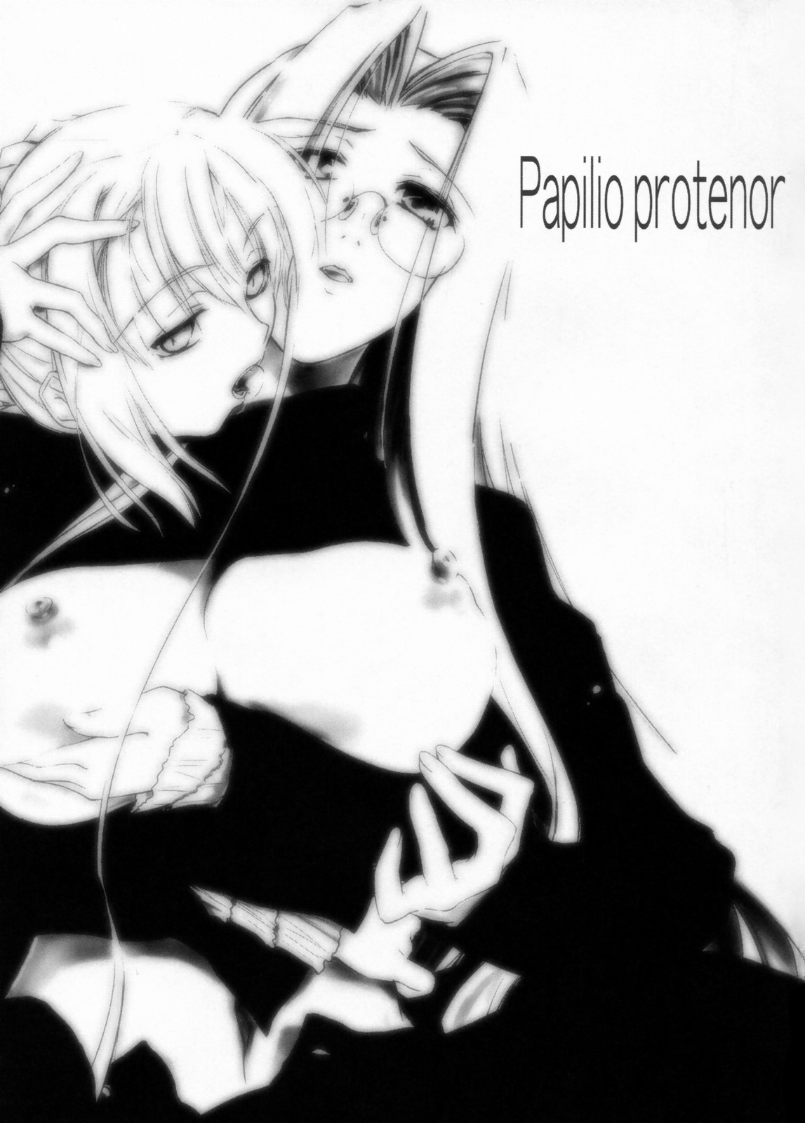 (C71) [しもやけ堂 (逢魔刻壱)] Papilio protenor (Fate/stay night) [英訳]