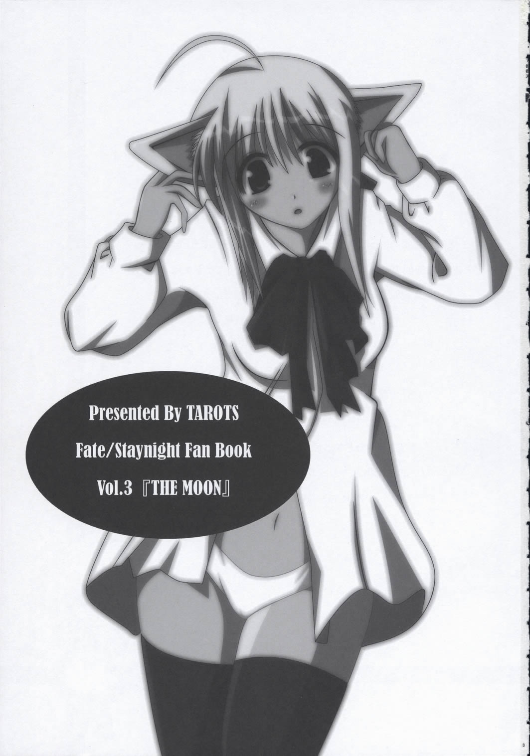 (サンクリ24) [TAROTS (澤野明)] THE MOON (Fate/stay night)