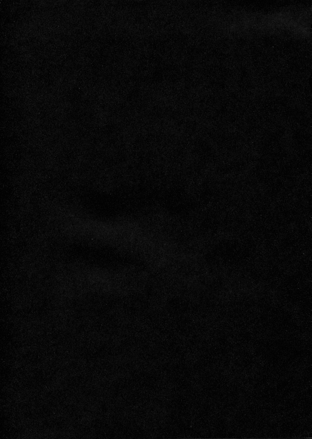 (サンクリ28) [Dragon Kitchen (かにばさみ, さそりがため)] MS-PLE-TWO (機動戦士ガンダムΖΖ)