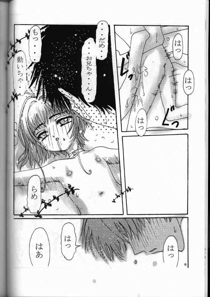 (C58) [RSTSlave (海老名総一)] お兄ちゃんと夏休み (カードキャプターさくら)