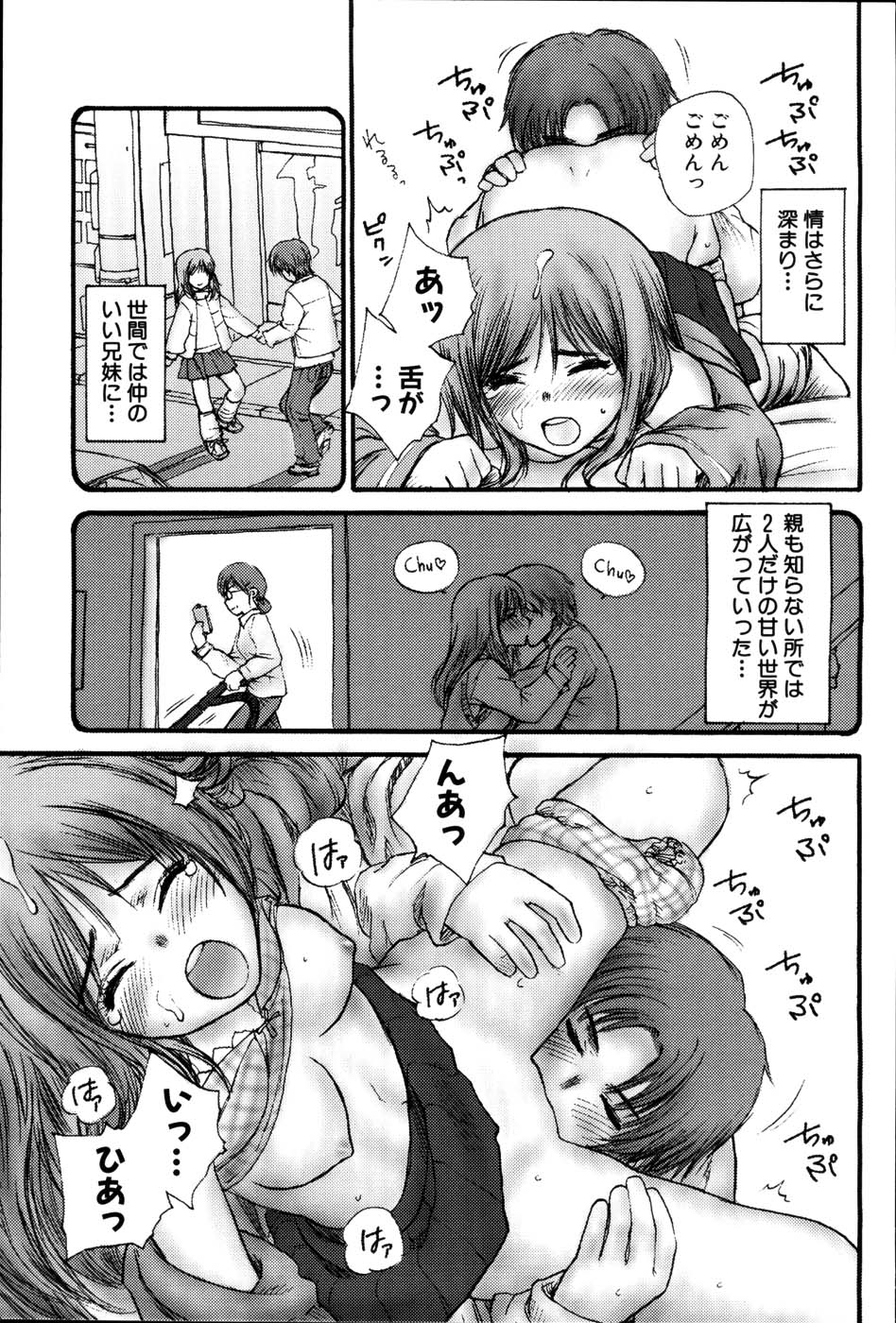 [らする] ストライプキャッツ