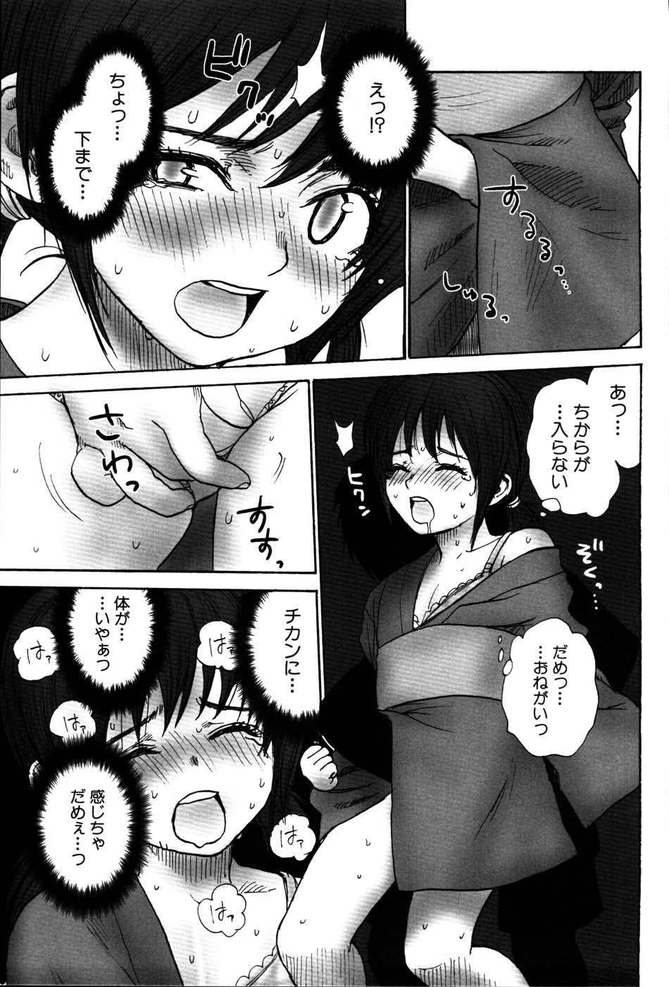 [らする] ストライプキャッツ