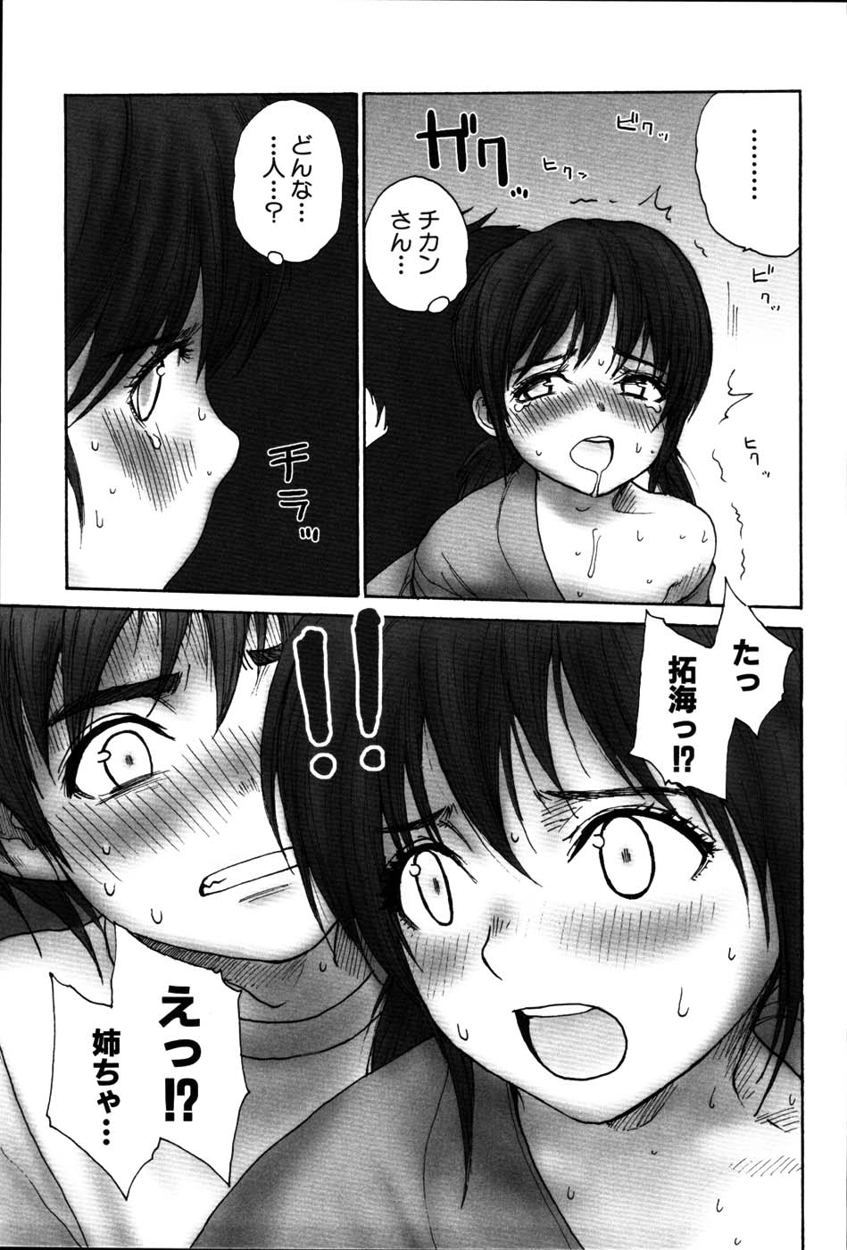 [らする] ストライプキャッツ