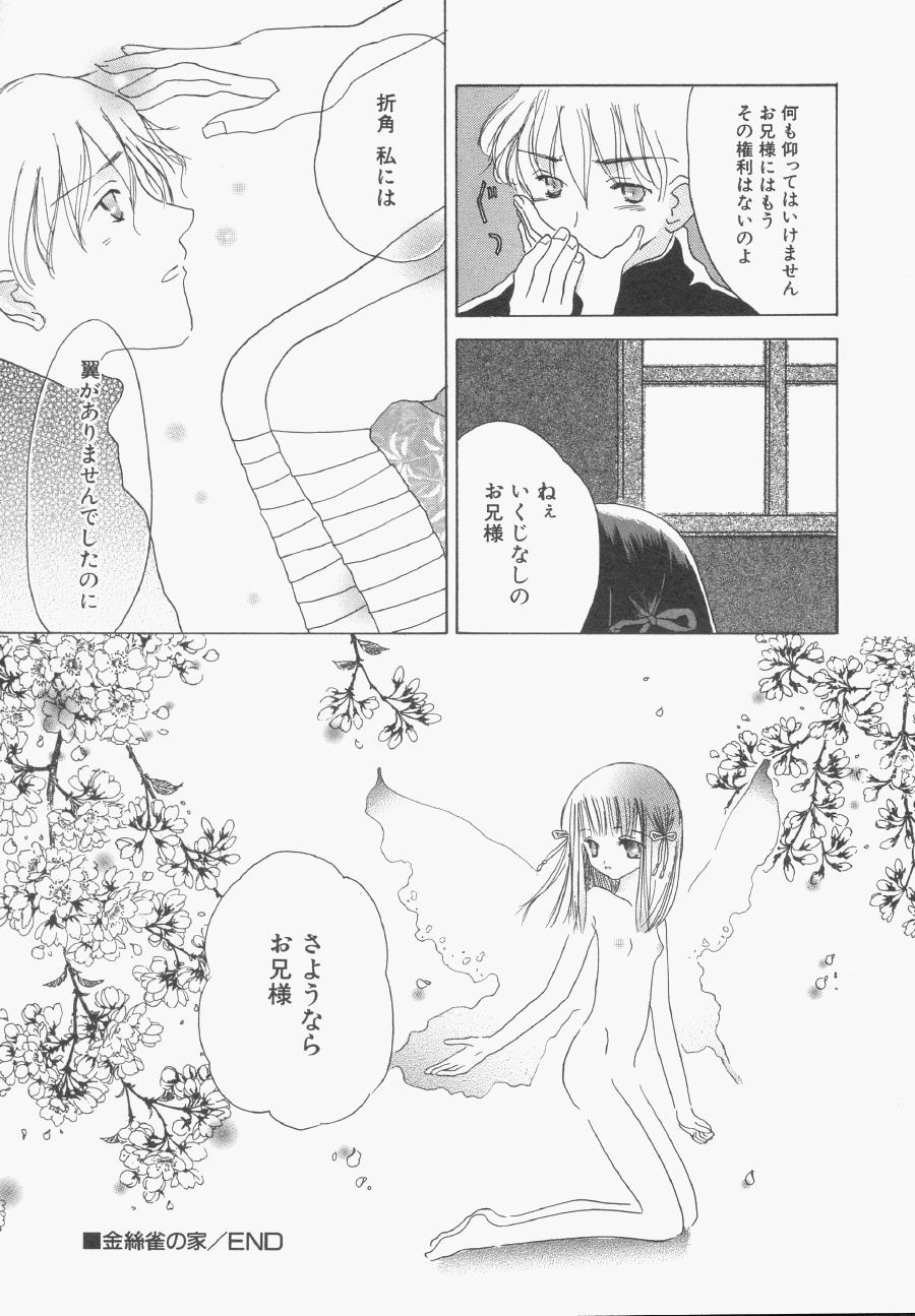 Hin-nyu v13-Hin-nyu Gentei