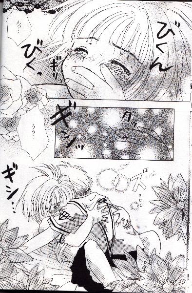 【阿部竜】【2000年夏】オオカミとチェリー