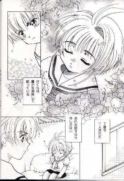 【阿部竜】【2000年夏】オオカミとチェリー