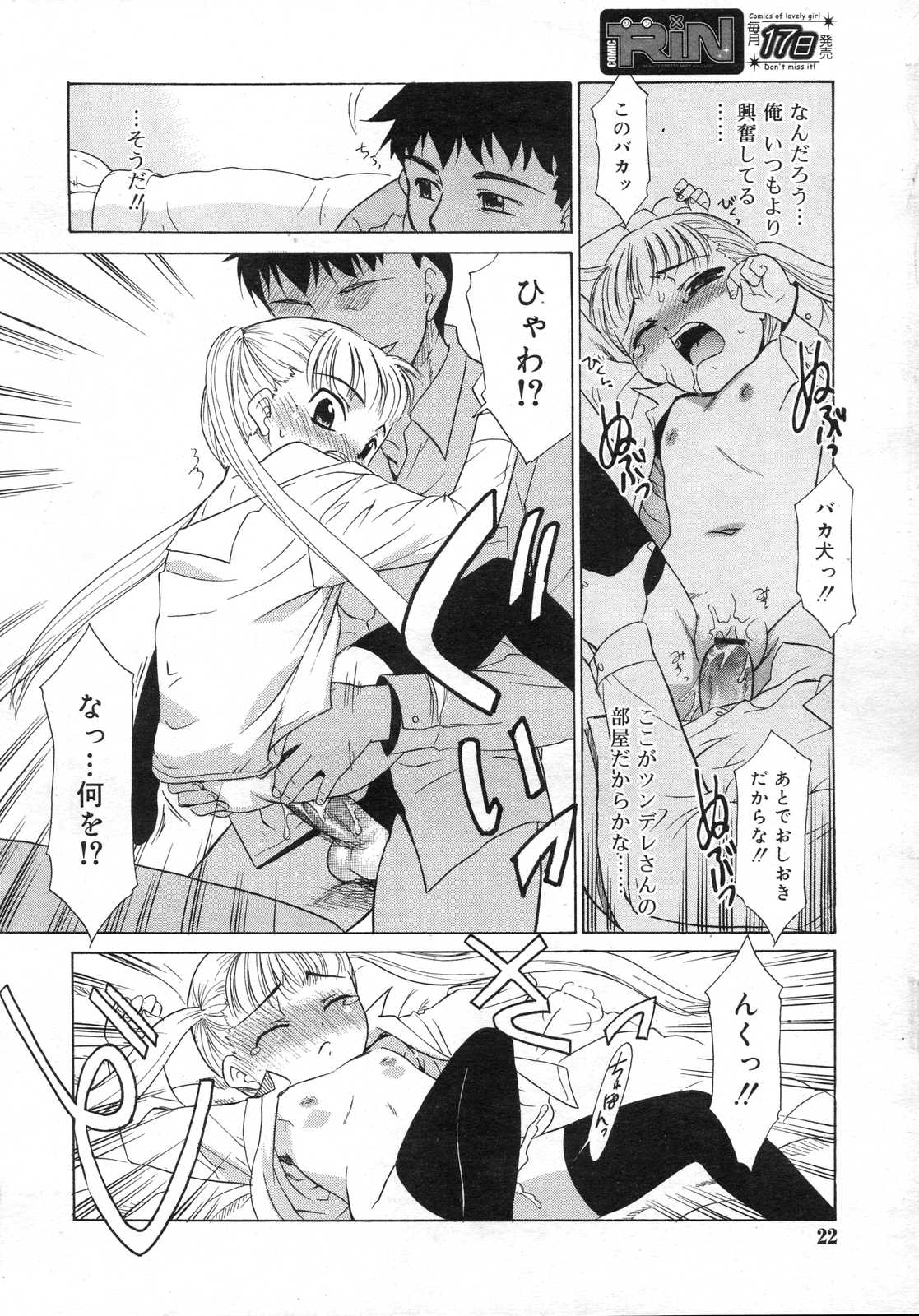 Comic RIN Vol. 25 2007年 1月