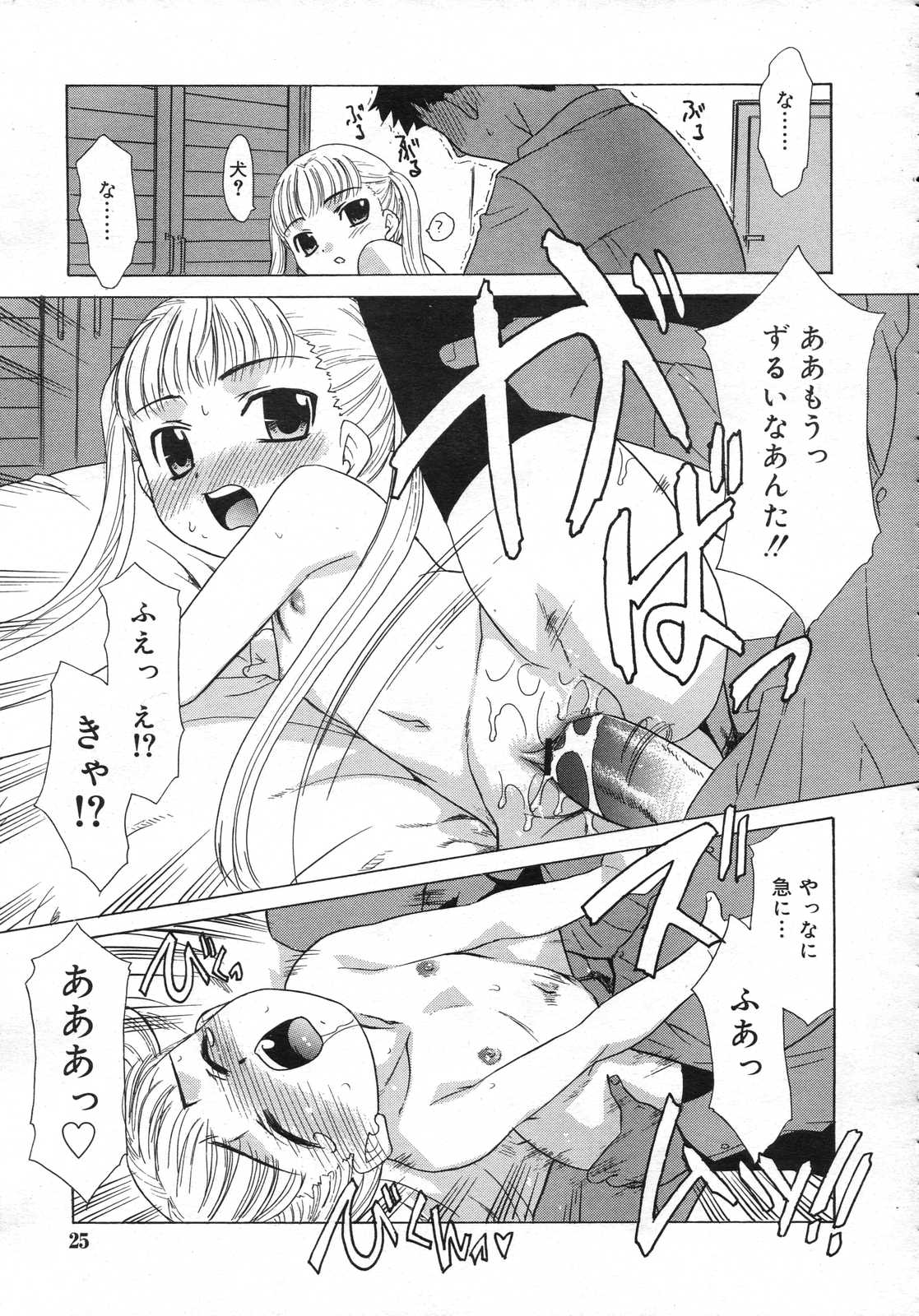 Comic RIN Vol. 25 2007年 1月