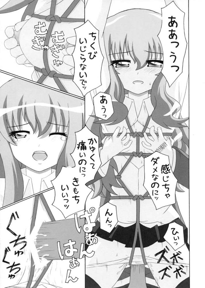 (SC35) [Crazy to Company (かすたどん)] 縄の使い魔 (ゼロの使い魔)