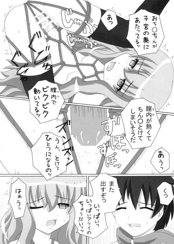 (SC35) [Crazy to Company (かすたどん)] 縄の使い魔 (ゼロの使い魔)