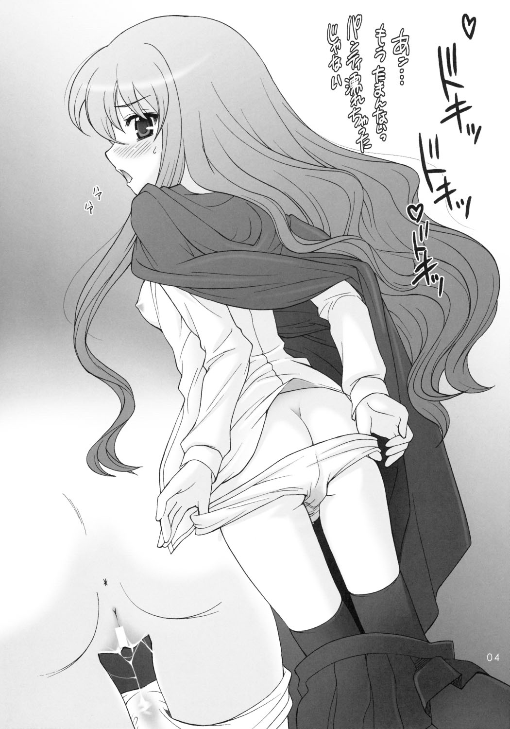 (C70) [しましましすてむ (なぎさわゆう)] 本日のお通し 2006 SUMMER (ゼロの使い魔)