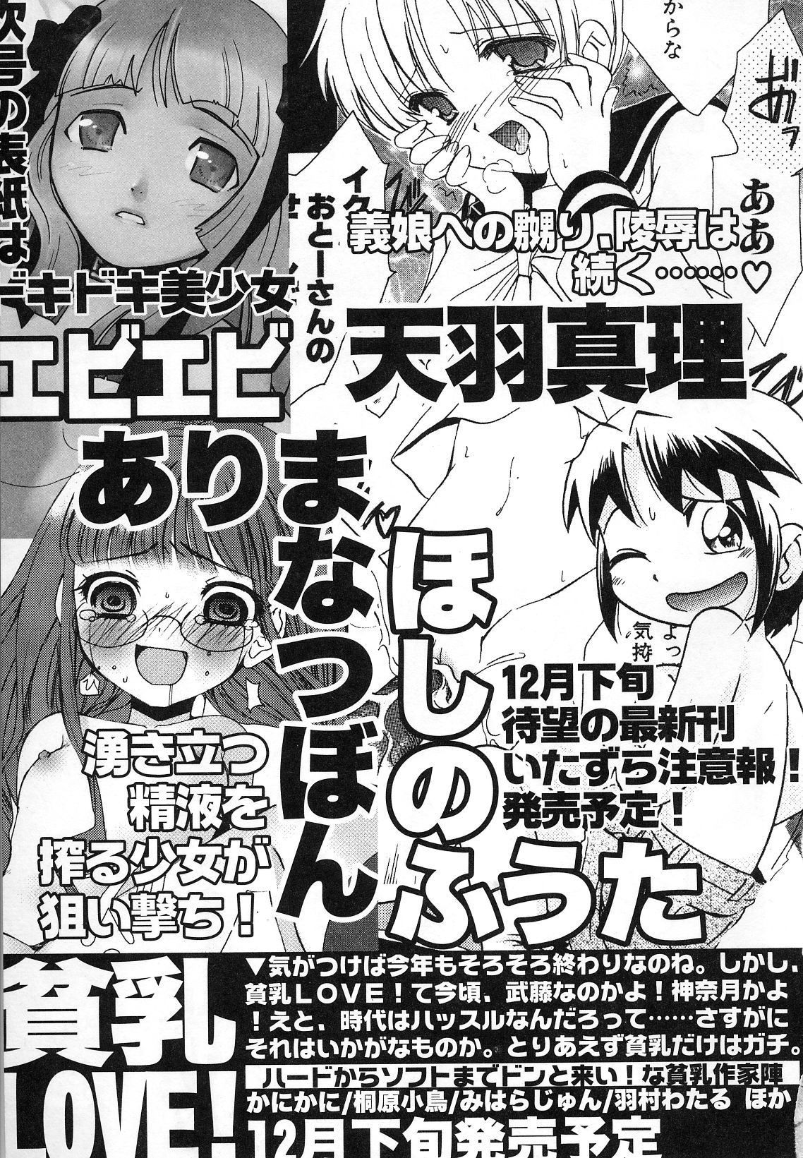 Hin-nyu v29-Dai Hin-nyu Undoukai