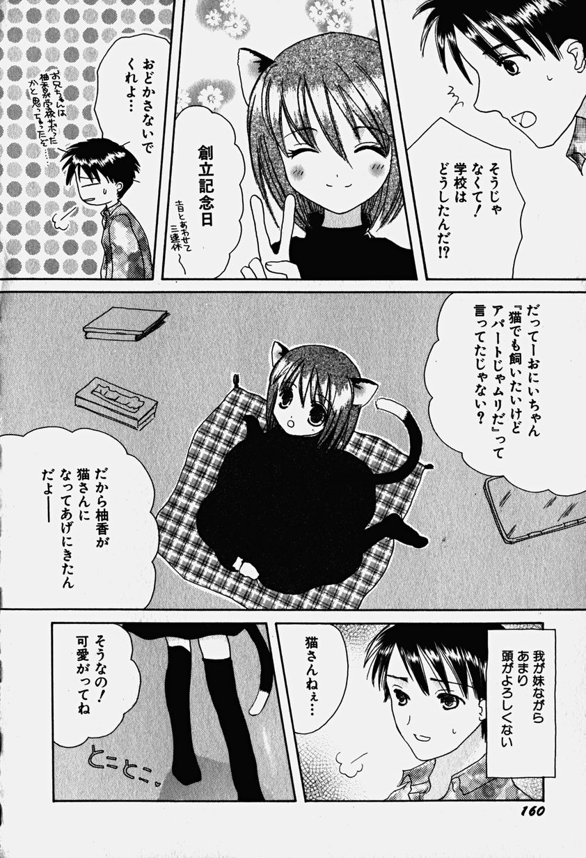 Hin-nyu v18-Hin-nyu Nyuukon