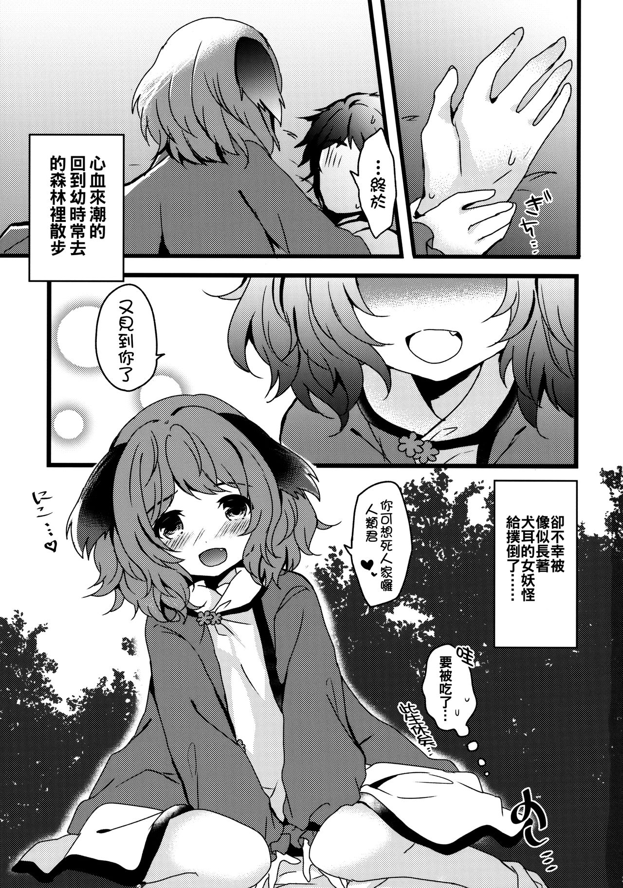 (秋季例大祭5) [もふもふ茶屋 (うぐいす餅)] やまびこが恋したにんげんさん (東方Project) [中国翻訳]