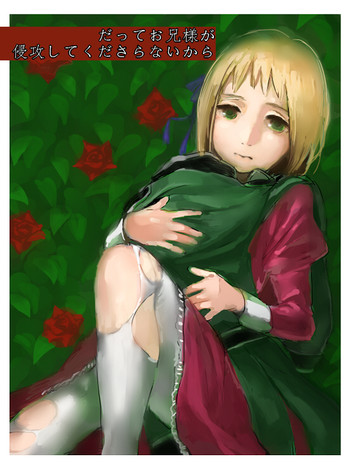 だってお兄様が侵攻してくださらないから だってお兄様が侵攻してくださらないから