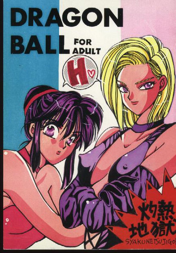 大人のためのドラゴンボール 大人のためのドラゴンボール