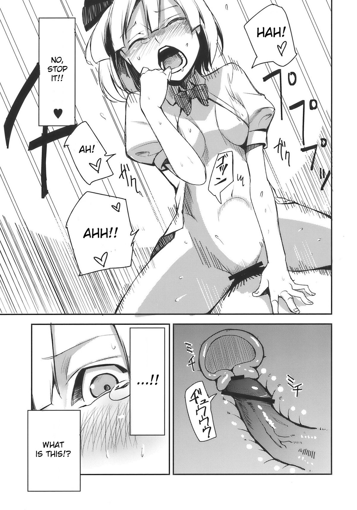 (例大祭7) [白ネギ屋 (miya9)] みょんなお使い (東方Project) [英訳]