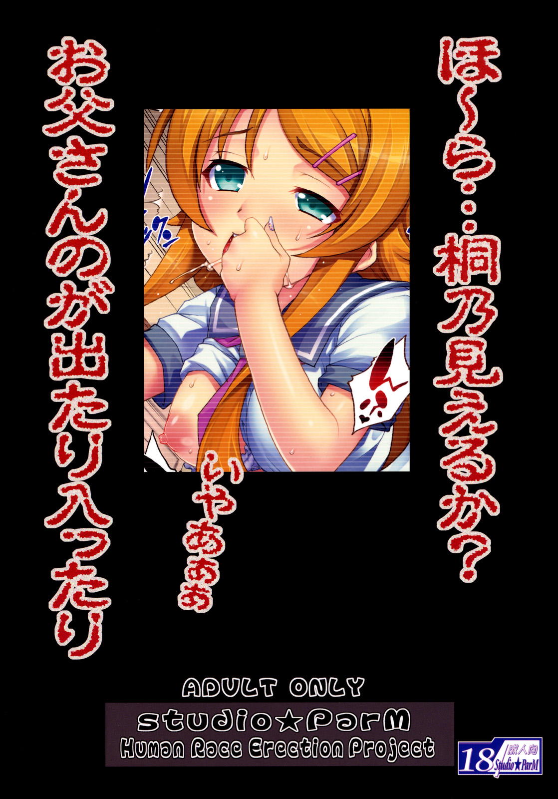 (サンクリ51) [Studio★ParM (寿宴)] PM28 父妹 (俺の妹がこんなに可愛いわけがない)