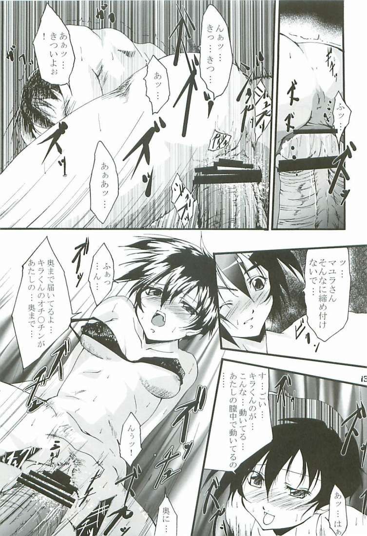 (C65) [樹堂 (東磨樹)] O3 (機動戦士ガンダムSEED)