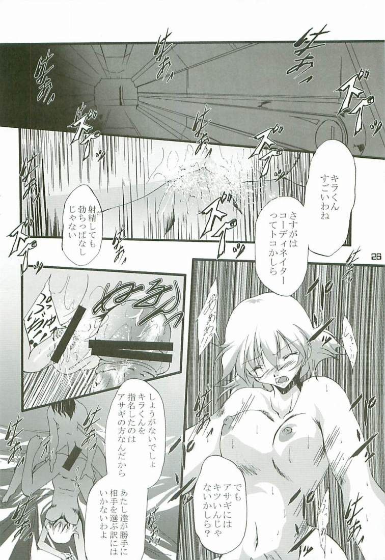 (C65) [樹堂 (東磨樹)] O3 (機動戦士ガンダムSEED)