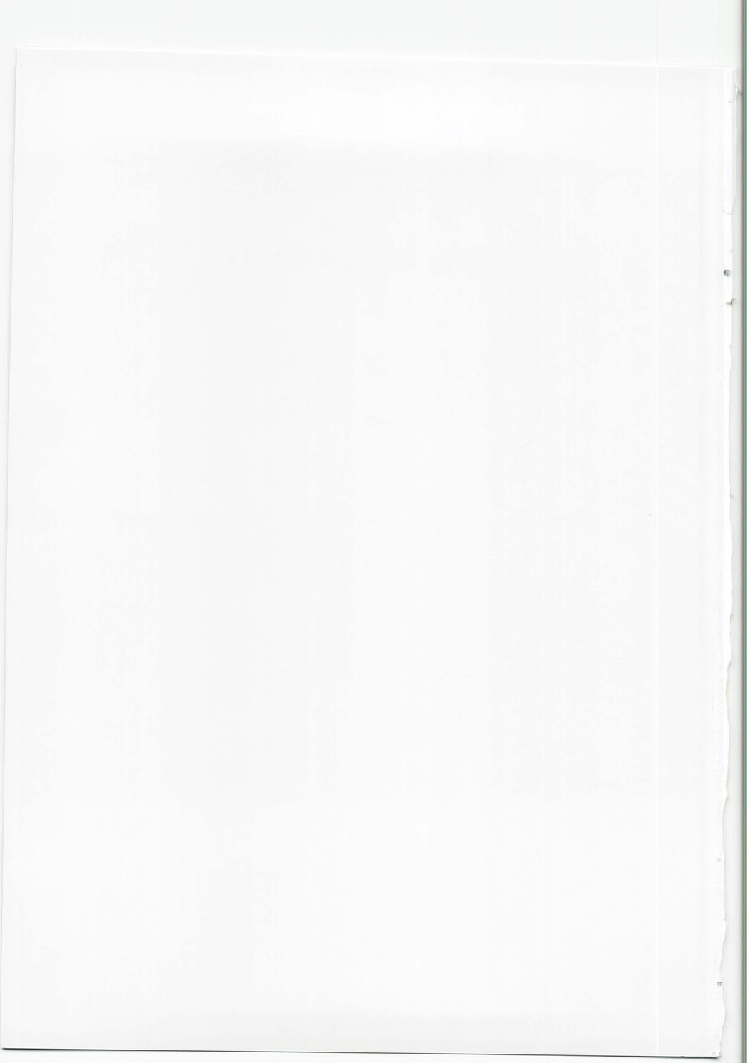 ビアンカの物語（ドラゴンクエストV）[英語] [書き直し]