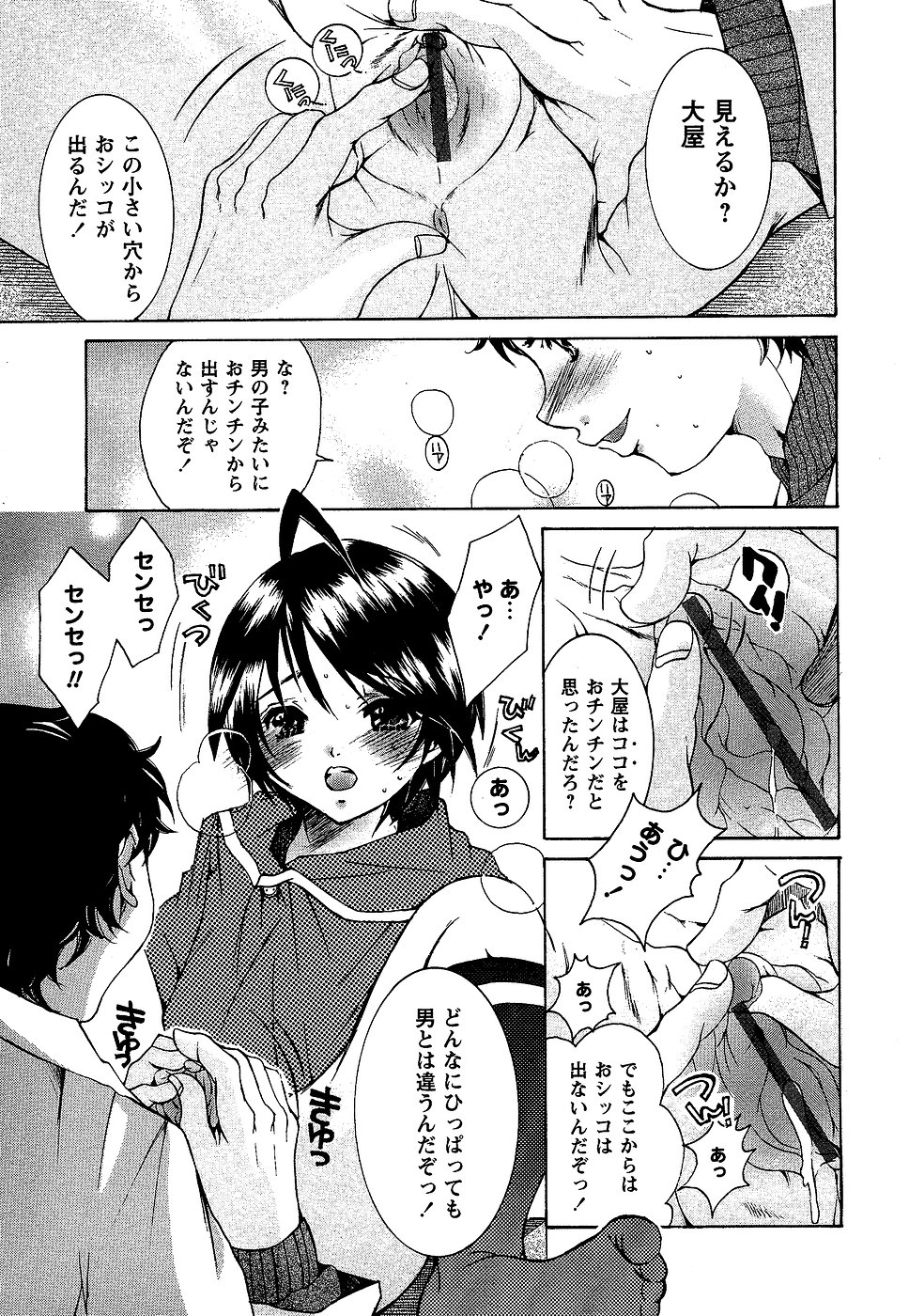 コミック・マショウ 2007年2月号