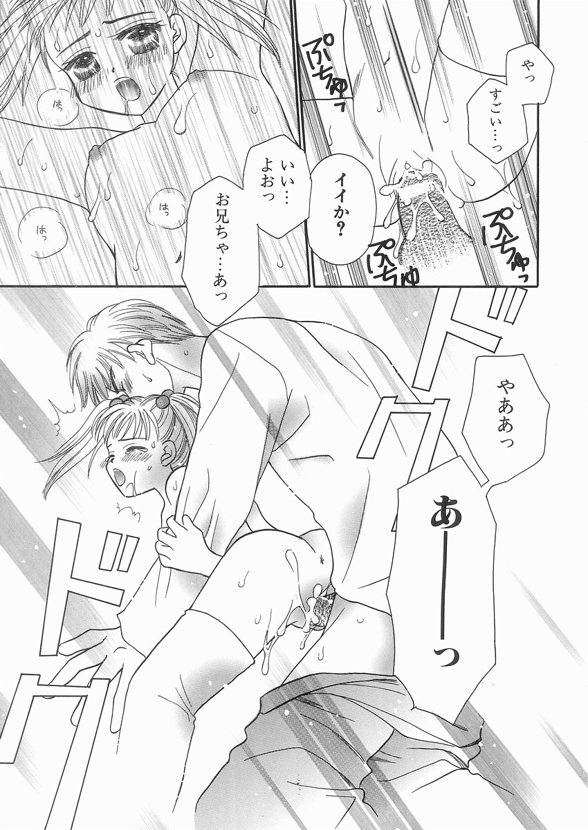 [紫賀サヲリ] 艶妹